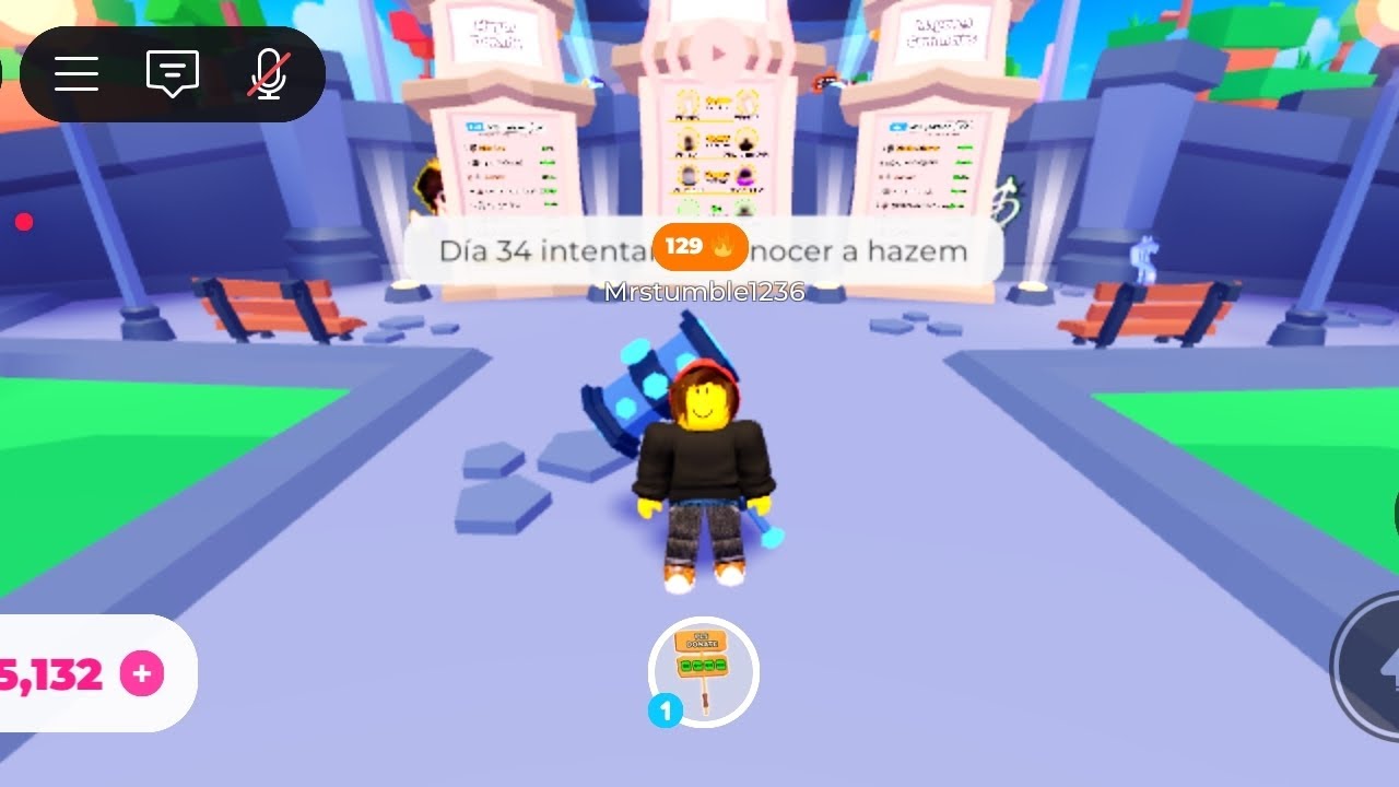 Hazzem Robux DÃa 34 intentando conocer a hazem | En pls donate #roblox #plsdonate # ...