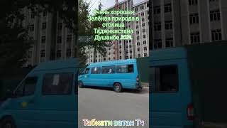 Просто потрясающая Зелёная природа в столица Таджикистана Душанбе.