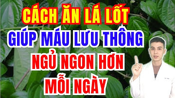 Máu Thông Lên Não, Ngủ Say Nếu Ăn Lá Lốt Theo Cách Này! | Dược sĩ Đạt