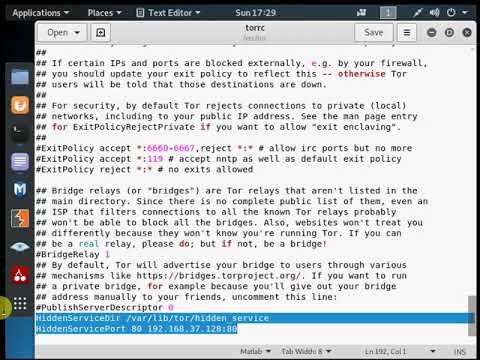 6 Modify torrc file practical
