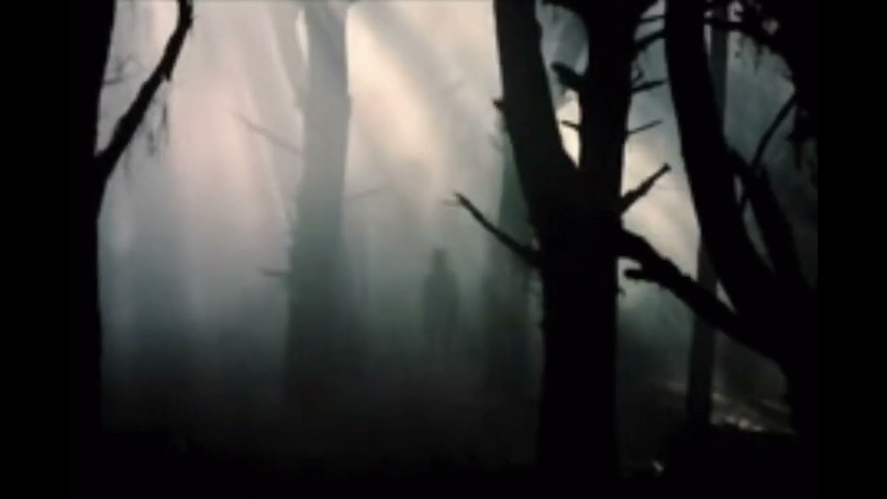 Haunted by Evanescence (slowed)