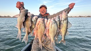 Spring White Bass & Walleye Beatdown! (CATCH AND COOK)