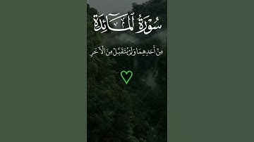(وَاتْلُ عَلَيْهِمْ نَبَأَ ابْنَيْ آدَمَ بِالْحَقِّ إِذْ قَرَّبَا قُرْبَانًا..)(سورةالمائدة) 🌿💚