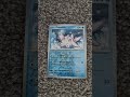 Cetoddle Pokemon card #pokemon #card