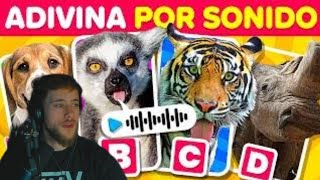 CAROLA REACCION | ADIVINA ANIMAL POR SU SONIDO/PLAYQUIZ #carola