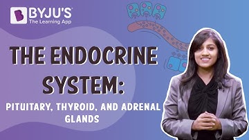 The Endocrine System - Pituitary, Thyroid, And Adrenal Glands | Class 10 | Learn With BYJU