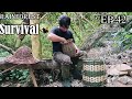 Thử Thách Sinh Tồn Trong Rừng Mưa Một Mình -EP.42 |Survival Alone In The Rainforest