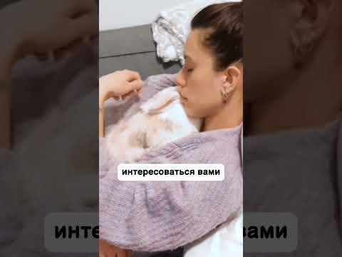 КАК ПОДРУЖИТЬСЯ С КРОЛИКОМ кролики кролик Bunny