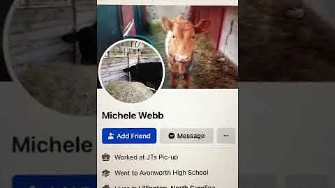 Michele Webb is a real person but she APPEARS to b...