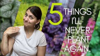 5 Perennials I won't plant anymore