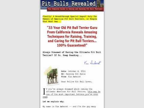 Pit Bulls Revealed Tim Amherst