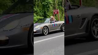 Car-Riding Dog Enjoying a Breeze