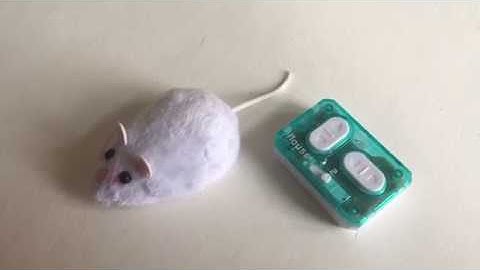 CAT TOY HEXBUG RADIO CONTROLLED MOUSE