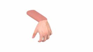 Hand Animation