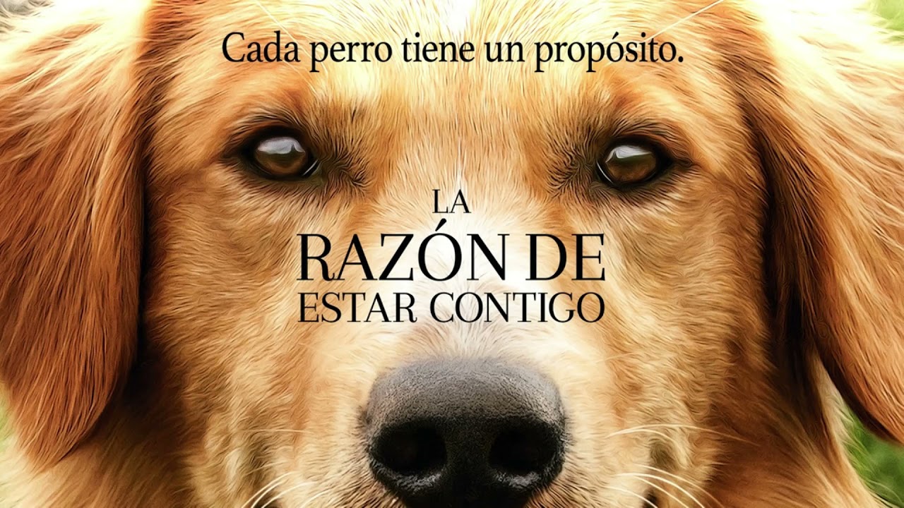 La Razón De Estar Contigo Capítulo 1 Audiolibro Youtube