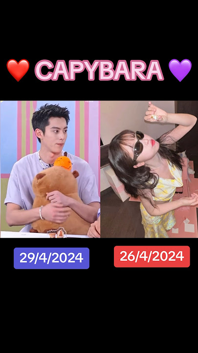 Dylan Wang and Esther Yu with identical gestures. The capybaras ❤️💜 #dylanwang #estheryu #dixin