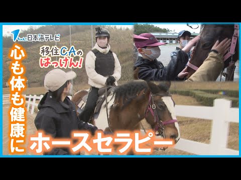 【心の安定に】不安の軽減や協調性を育む事を期待！ホースセラピー【現役CAが取材】