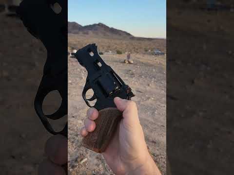 Shooting the Unorthodox Chiappa Rhino 40DS! #fypシ #revolver357 #357 #targetshooting #pov