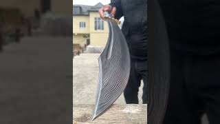 Oriental sword