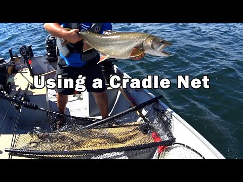 Using a Cradle Net for Lake Trout 