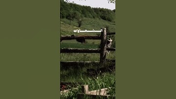 القرآن الكريم سورة الروم #القرآن_الكريم #اكسبلور #سورة_البقرة