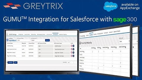 GUMU™ Integration for Salesforce with Sage 300