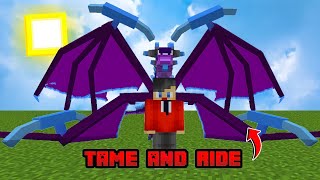 Dragon Origin Addon Mcpe 117 Dragon Addon Mod Minecraft Dragon  Rlcraft Dragon Addon