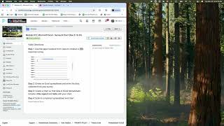 Module 12, Microsoft Excel Survey and Spreadsheet