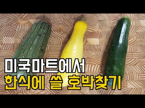 미국 호박 종류 미국마트 애호박 단호박 늙은호박 주키니 스쿼시 영어로 difference between zucchini yellow squash buttercup butternut