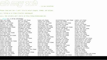 The Productive Programmer