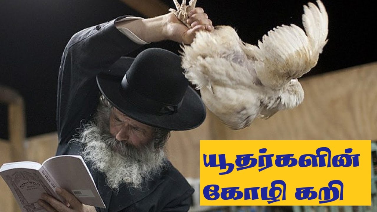யூதர்களின் உணவு முறை (கோழி) I Jewish Kosher Chicken