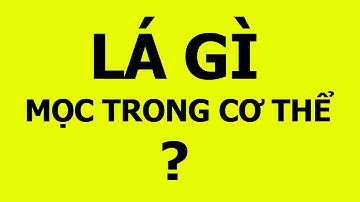 Những câu đố dân gian hay, hại não sẽ khiến bạn lúng túng