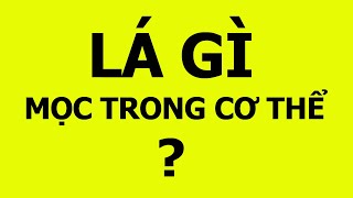 Những câu đố dân gian hay, hại não sẽ khiến bạn lúng túng