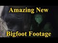 Amazing New Bigfoot Footage