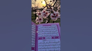 #القارئ #quran #اكسبلور #القزابري #duet #yasseraldossary #دويتو #islamicquotes #راحة_نفسية #quran