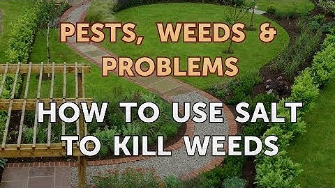 How to Use Salt to Kill Weeds