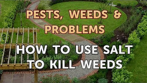 Will plain table salt kill weeds?