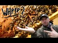 Fool Proof Method To Test If There Is A Queen In Your Beehive