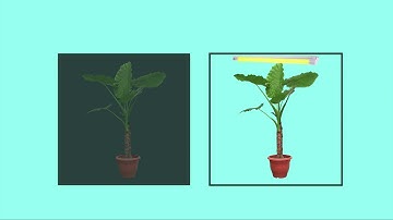 Earth Science - Relationships in Science