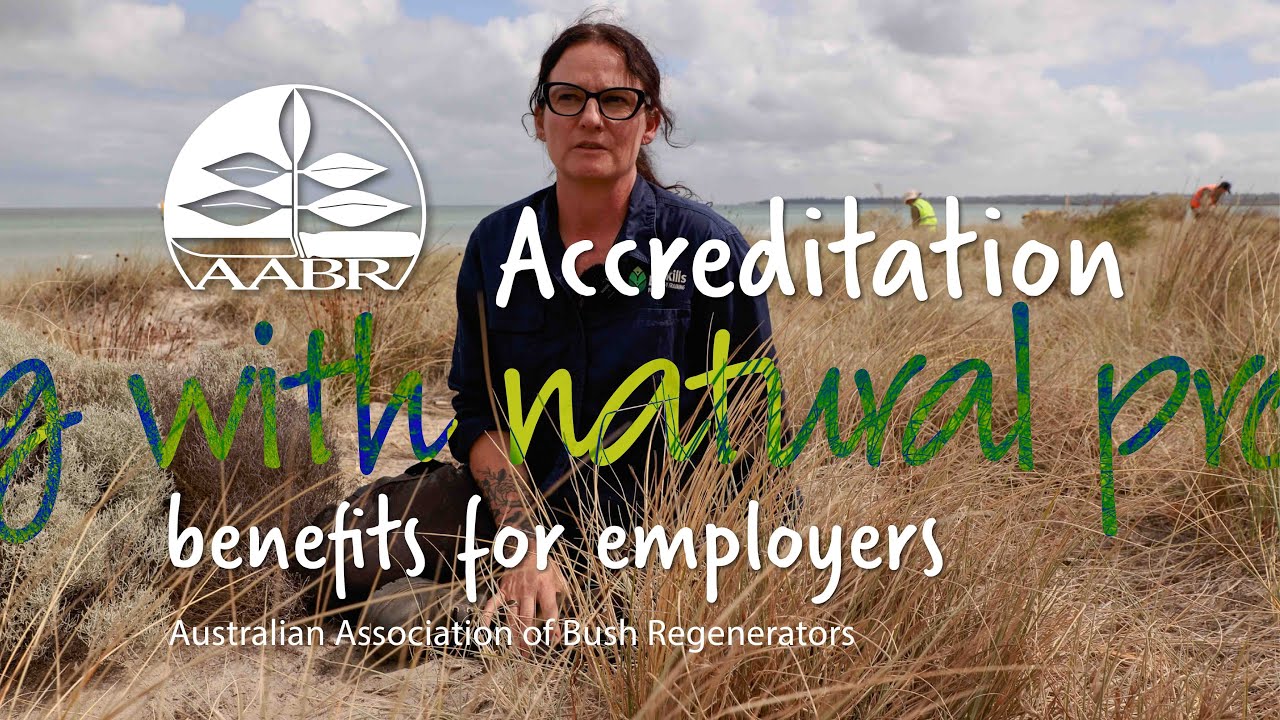 AABR accreditation - benefits for employers