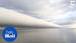 Incredible cloud formation stretches across New Orleans skyline - Daily Mail