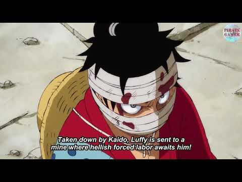 Video One Piece 916