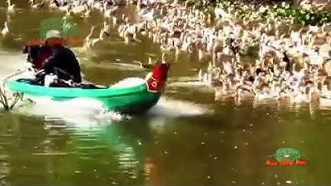 Đặc sản Miền sông nước - Cháo gỏi vịt chuối cây