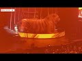 🎤✨ Tyla’s Show Performance in South Africa – Full Show Highlights! ✨🎤 Part 1