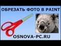 Как обрезать фото или картинку в Paint?