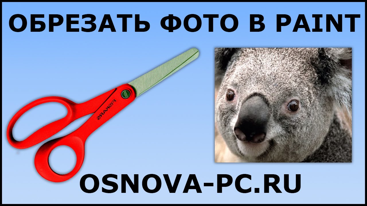 Как обрезать фото или картинку в Paint?