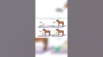 Puzzle #puzzle #puzzlegame #puzzles #shorts #shortvideo #shortsfeed #youtubeshorts #ytshortsindia