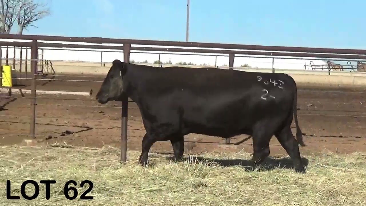 LOT 62 YouTube lot-62-youtube
