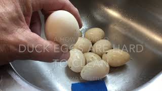 Duck Eggs Are Hard To Wash