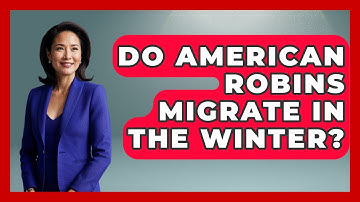 Do American Robins Migrate In The Winter? - Bird Watching Diaries